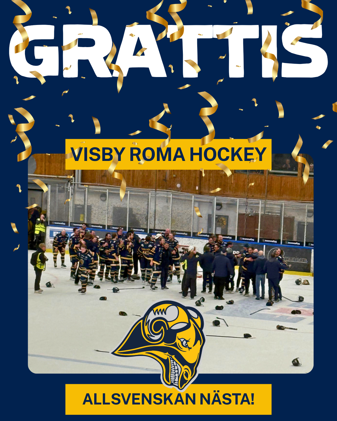 Visby Roma Hockey till Hockeyallsvenskan! - Coop Gotland